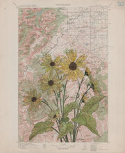 Load image into Gallery viewer, "Glacier" Print, Anita Mathews