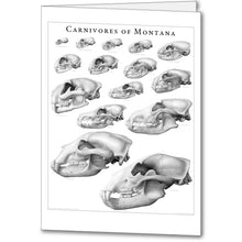Load image into Gallery viewer, Carnivores of Montana