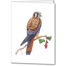 Load image into Gallery viewer, American Kestrel