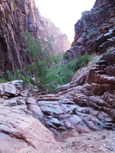 Load image into Gallery viewer, "Trinity Canyon, Grand Canyon" Ani 2024