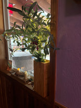 Load image into Gallery viewer, Olive Branches Lamp, Ani Eastwood