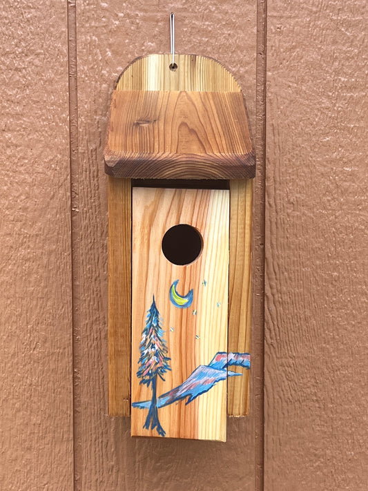 Handmade Cedar Bluebird Box, Mountain Night Sky