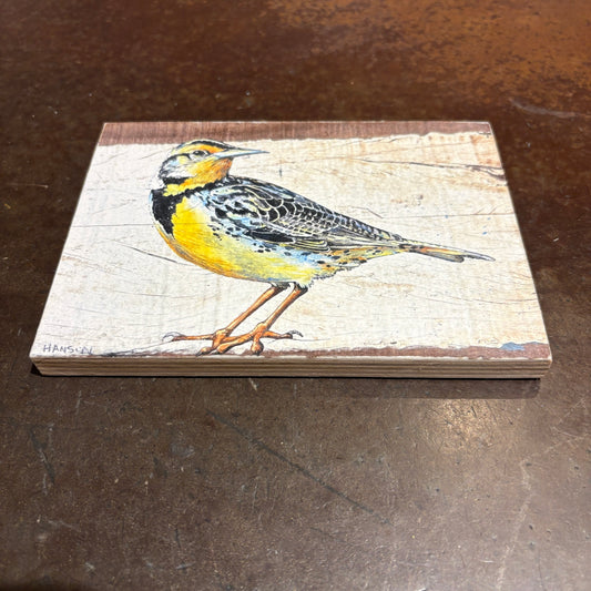 Meadowlark - print on plywood panel