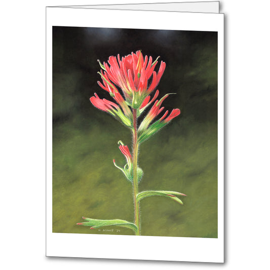 Wildflower Notecards (set of 5)