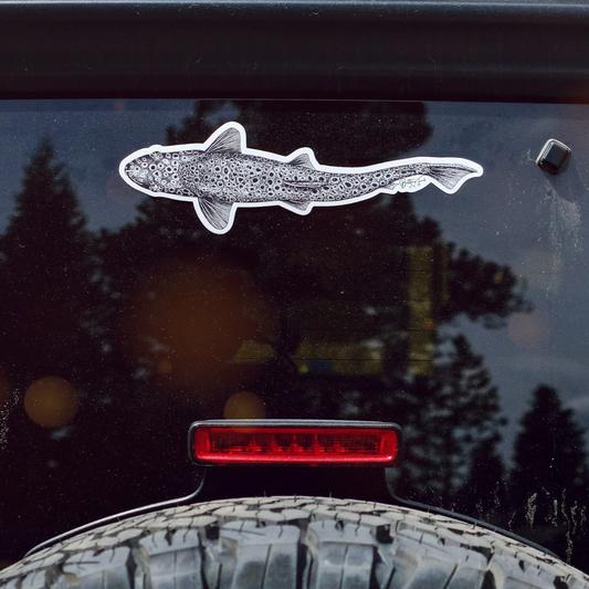 Large Vinyl Brown Trout Sticker