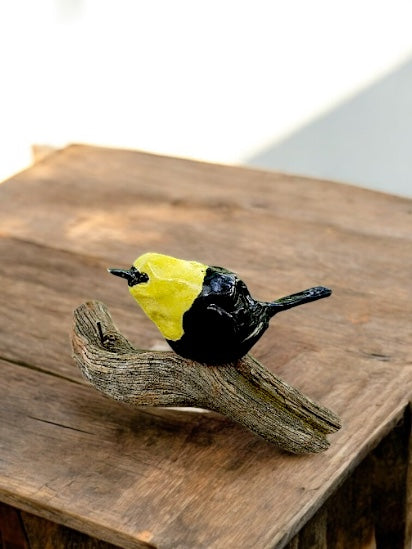 The Yellow-headed Blackbird