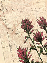 Load image into Gallery viewer, "Paintbrush in Ovando", Anita Mathews