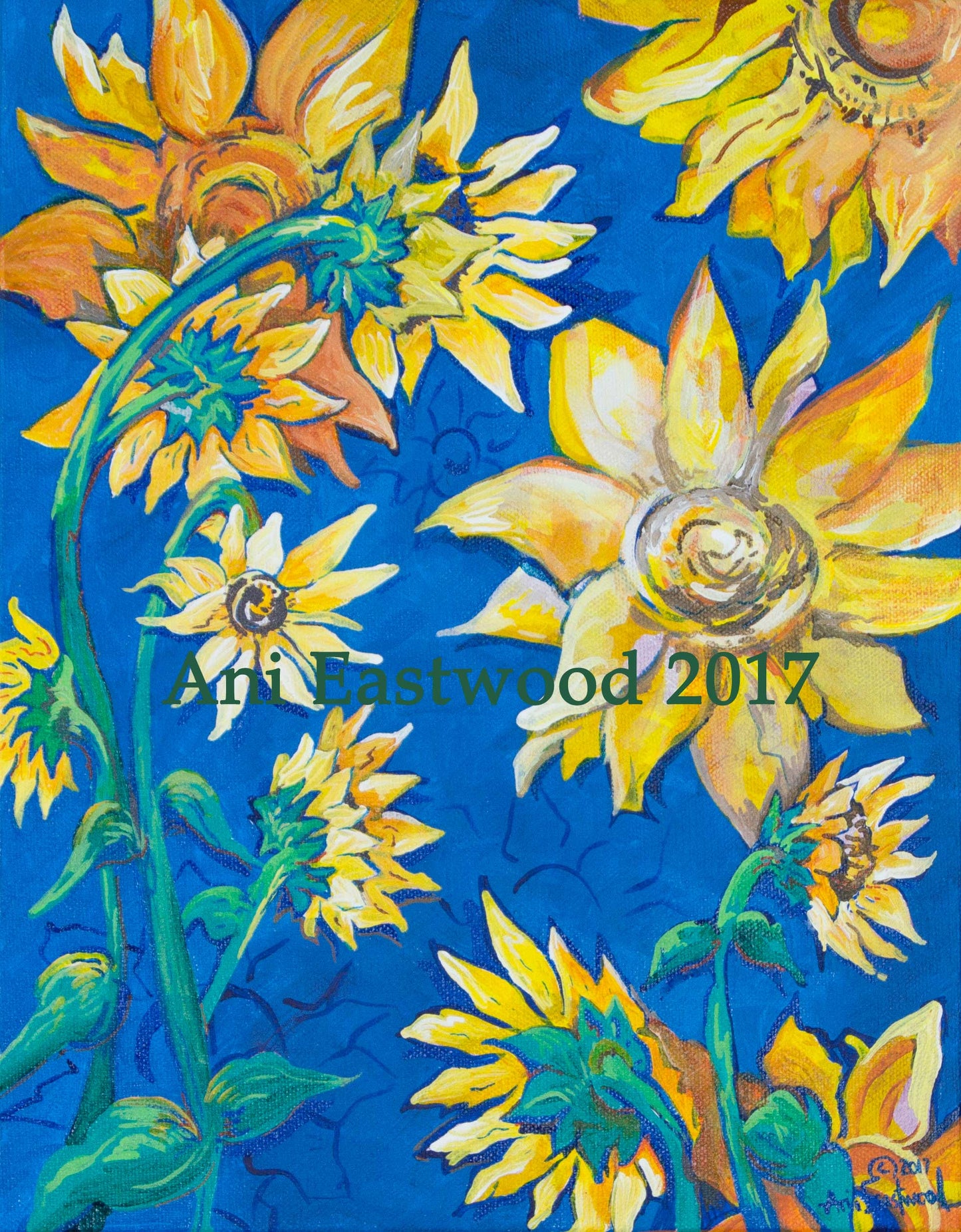 Flowers and Plants Card 6 Pack: Ani Eastwood