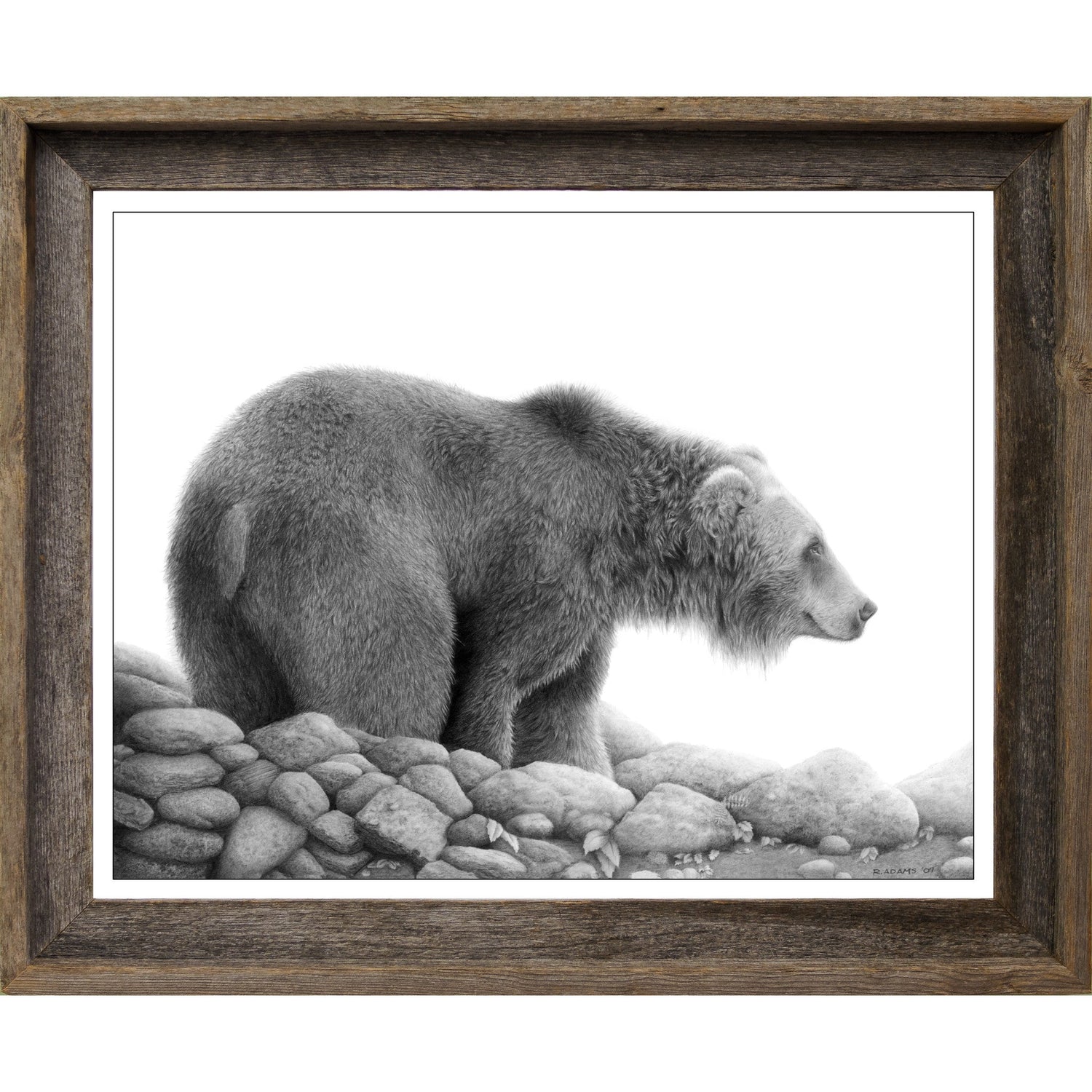 Rich Adams Fine Art