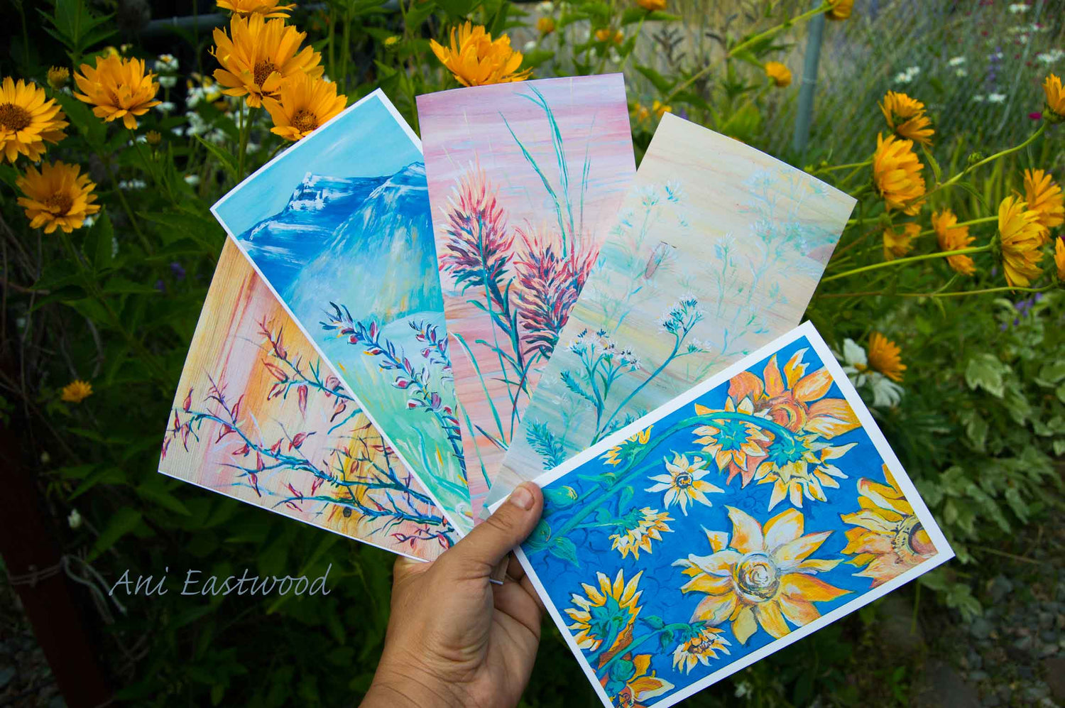 Greeting Cards