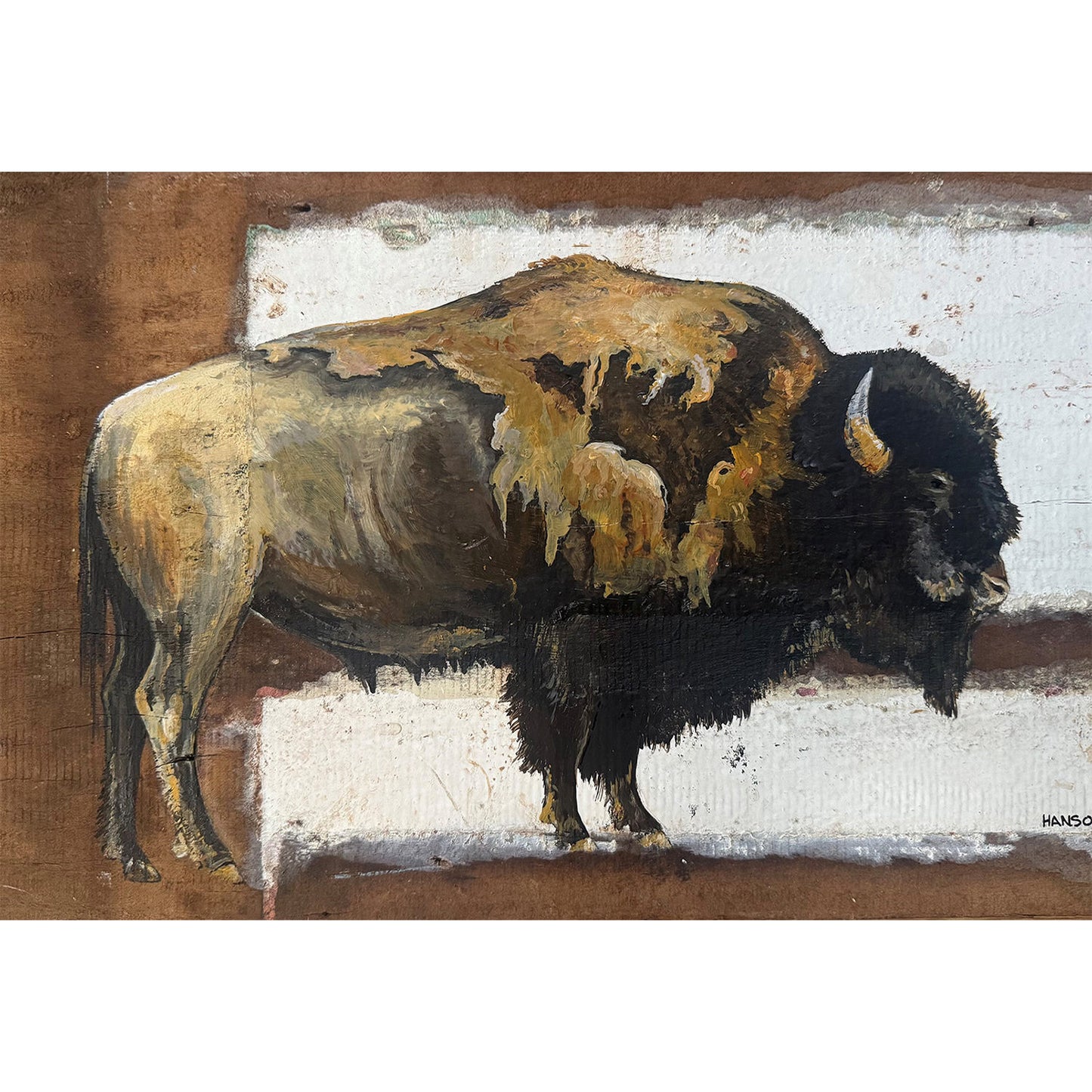 Bison - print on plywood panel