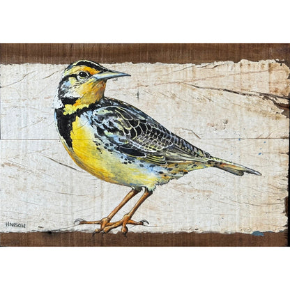 Meadowlark - print on plywood panel