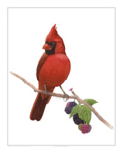 Load image into Gallery viewer, Northern Cardinal
