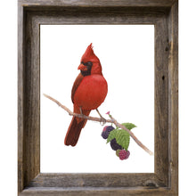 Load image into Gallery viewer, Northern Cardinal
