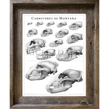 Load image into Gallery viewer, Carnivores of Montana

