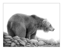 Load image into Gallery viewer, Grizzly Study
