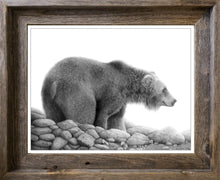 Load image into Gallery viewer, Grizzly Study

