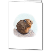 Load image into Gallery viewer, Pika
