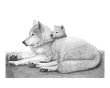 Load image into Gallery viewer, Security
