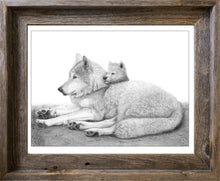 Load image into Gallery viewer, Security
