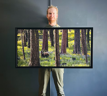 Load image into Gallery viewer, &quot;Dappled Bear&quot; Gallery Wrap Print in Black Frame Brian Christianson
