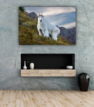 Load image into Gallery viewer, &quot;The Goat&quot; Gallery Wrap Metal Print Brian Christianson
