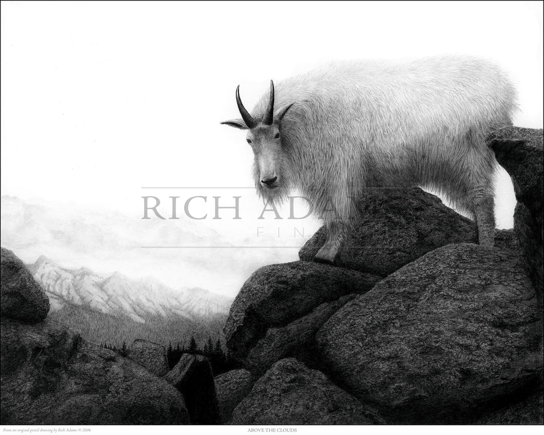 Above the Clouds by Rich Adams