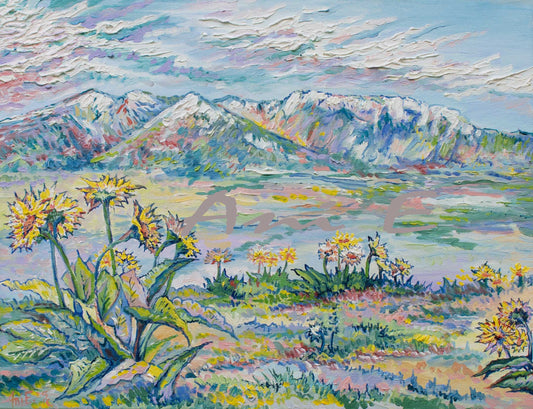 "Balsamroot" Ani Eastwood 2025