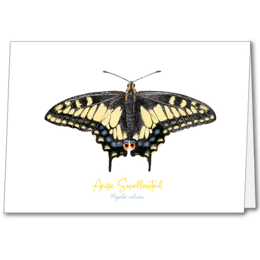 Butterfly Notecards (set of 5)
