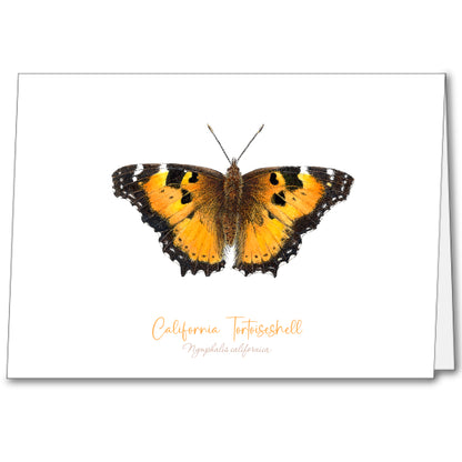 Butterfly Notecards (set of 5)