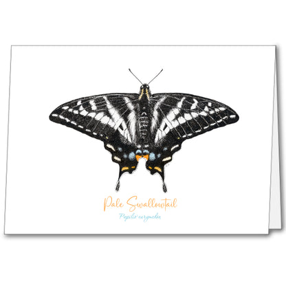 Butterfly Notecards (set of 5)