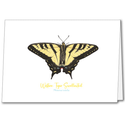 Butterfly Notecards (set of 5)