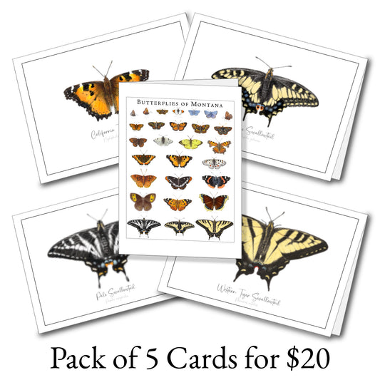 Butterfly Notecards (set of 5)