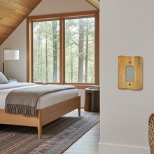 Load image into Gallery viewer, Single Dimmers, Assorted Varieties, Packriver
