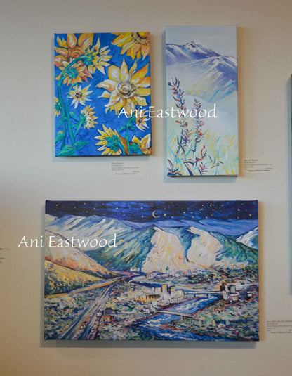 "Starry Nights Missoula, Montana"  Ani Eastwood