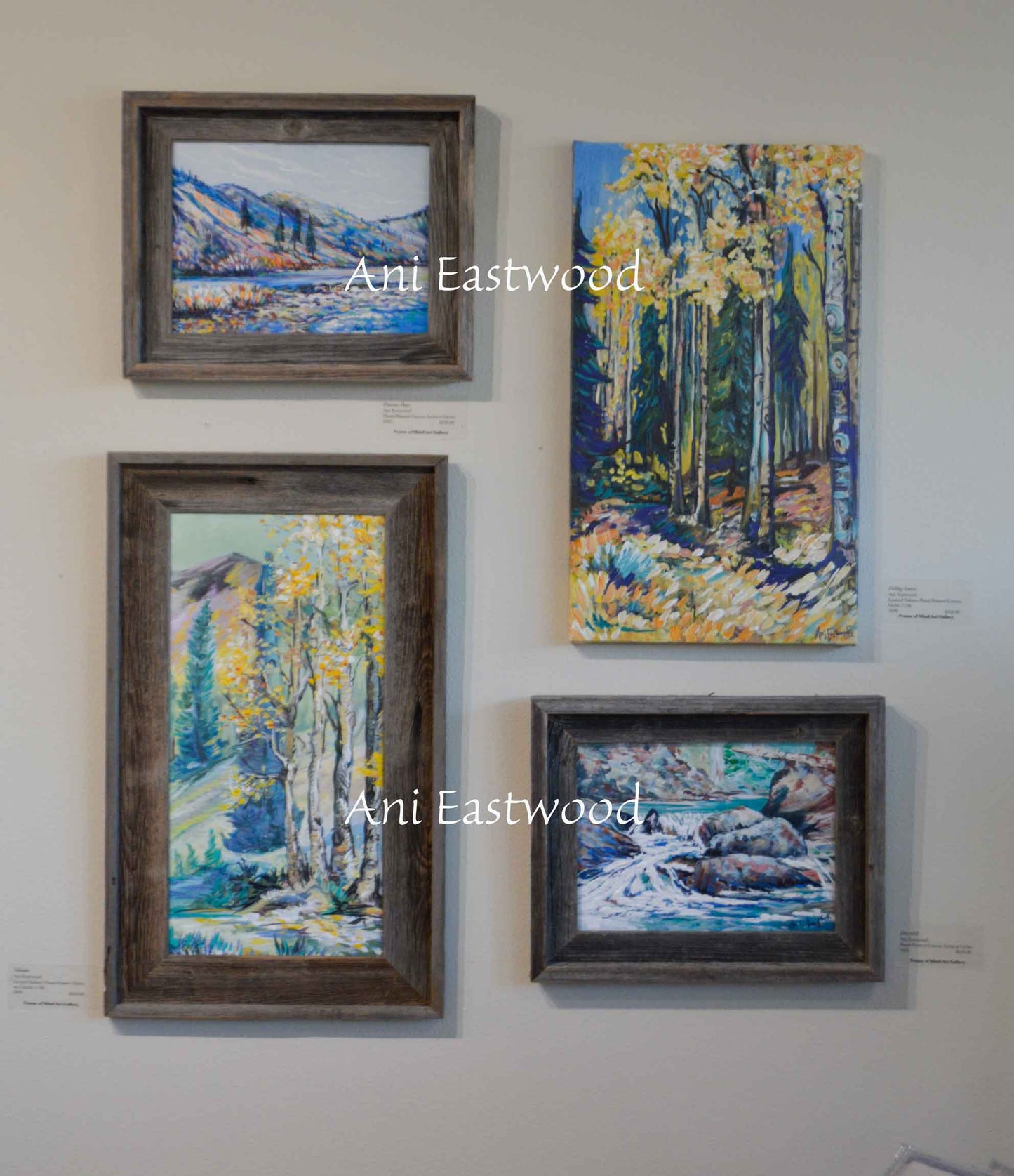Special 9x12 Handpainted Canvas set of Barnwood Framed Giclees