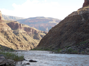 "Dubendorf Rapid from Stone, Grand Canyon" Ani 2024