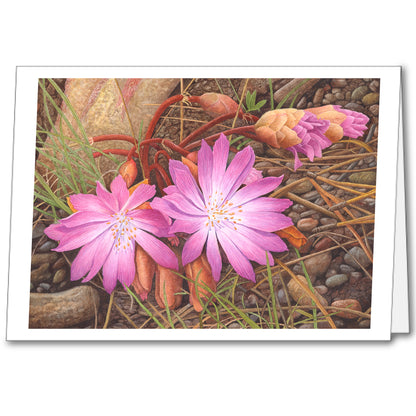 Wildflower Notecards (set of 5)