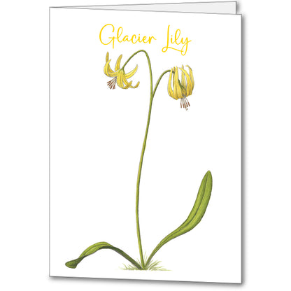 Wildflower Notecards (set of 5)