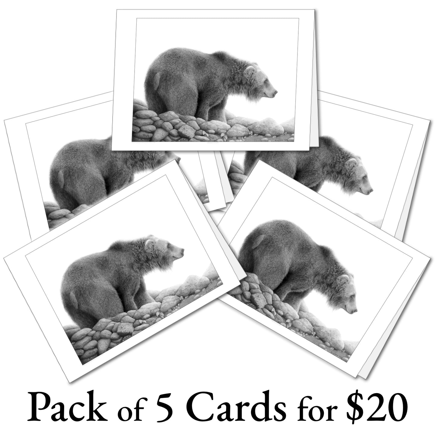 Grizzly Study