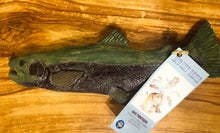 Load image into Gallery viewer, Big Sky Genie- Ceramic Fish Wall Hanging Raku Fired (indoor only)
