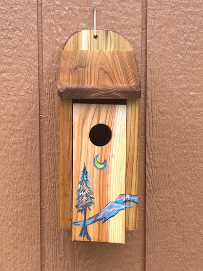 Handmade Cedar Bluebird Box, Mountain Night Sky