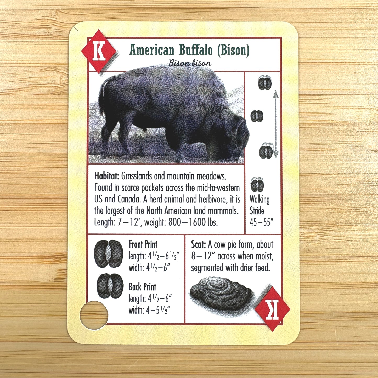 Hiker's Companion Playing Cards