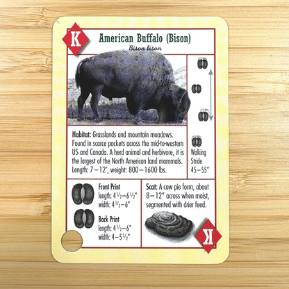 Hiker's Companion Playing Cards