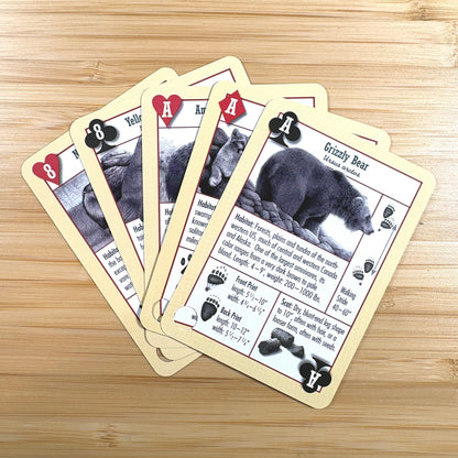 Hiker's Companion Playing Cards