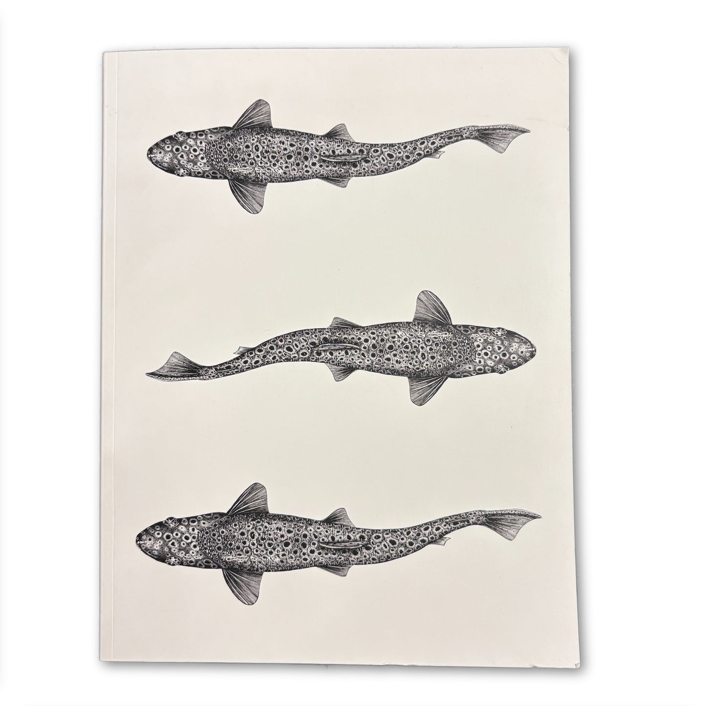 Trout Large Lay-Flat Blank Notebook
