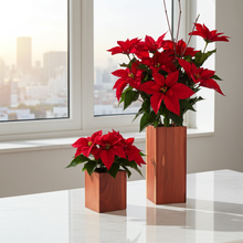 Load image into Gallery viewer, Vases, Ani Eastwood
