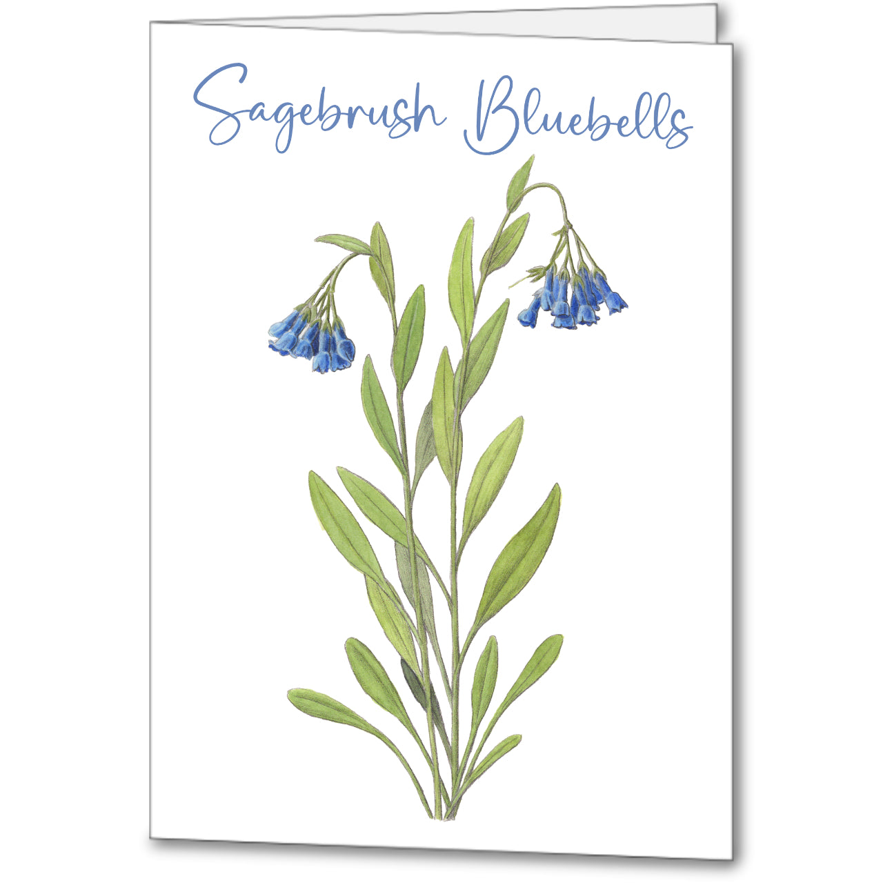 Wildflower Notecards (set of 5)