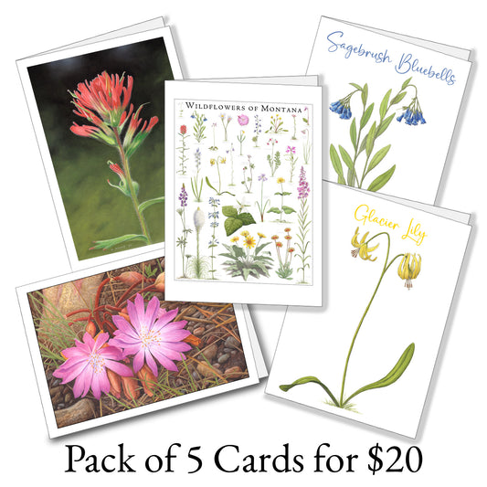 Wildflower Notecards (set of 5)