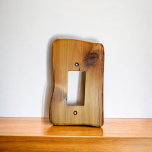 Load image into Gallery viewer, Single Dimmers, Assorted Varieties, Packriver
